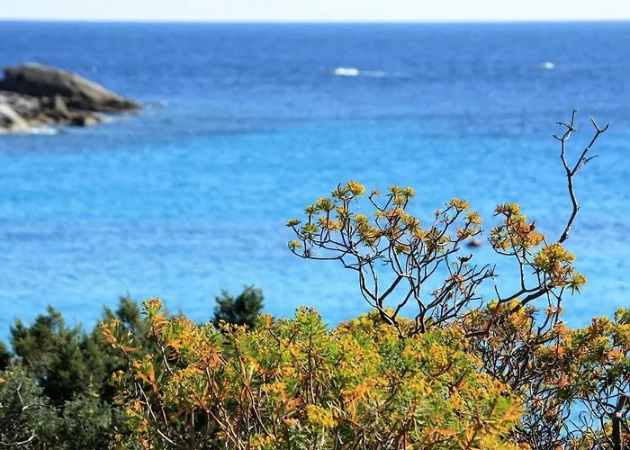 Claudia * Віллазімьюс